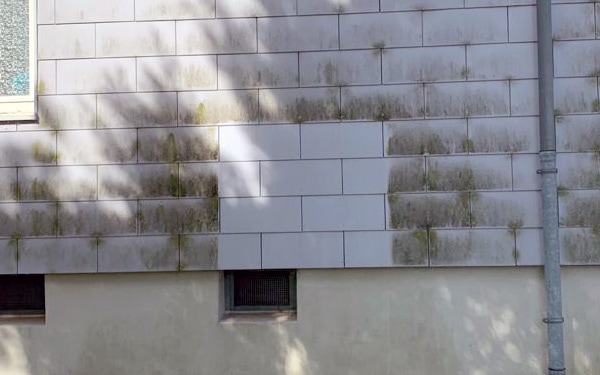 Fragen Sie gerne eine gratis Probefläche für Ihre Eternit Faserzementplatten an! Eternit Faserzement Fassadenreinigung